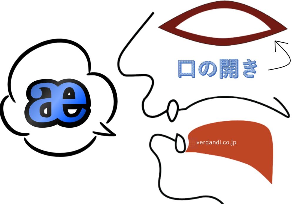 aeの発音方法・口の形・喉