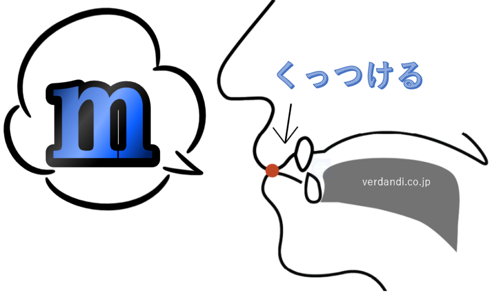 mの発音方法・口の形・喉