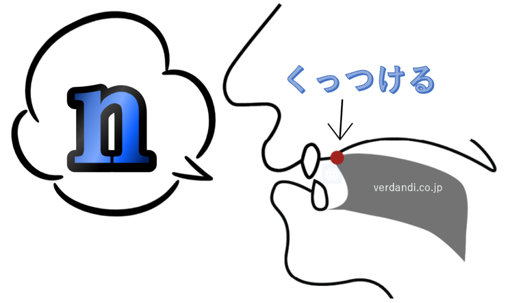 nの発音方法・口の形・喉