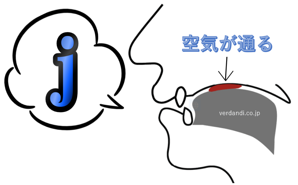 jの発音方法・口の形・喉